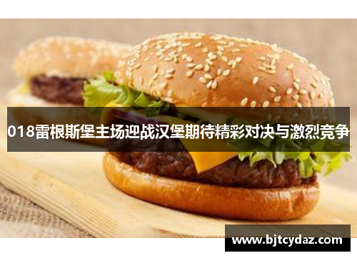 018雷根斯堡主场迎战汉堡期待精彩对决与激烈竞争